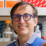 Alessandro Sette, PhD